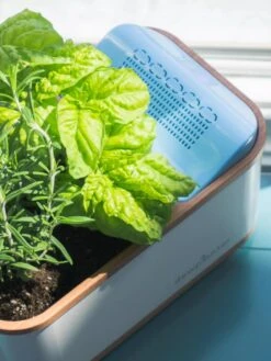 Dewplanter 9 Dewplanter -Gardener's supply company 8609512 04V