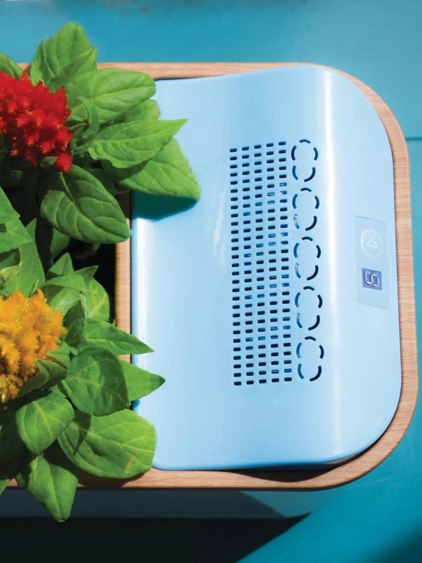 Dewplanter 4 Dewplanter - Image 3