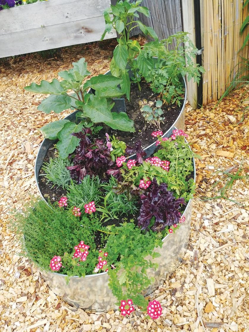 Curved Metal Raised Bed 3 Curved Metal Raised Bed