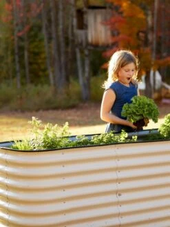 Birdies™ Modular Metal Raised Bed, Tall 12 Birdies™ Modular Metal Raised Bed, Tall -Gardener's supply company 8610174 5015 tif