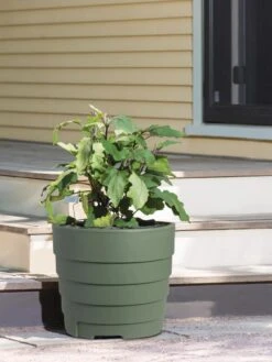 Gardener’s Victory Self-Watering Patio Planter -Gardener's supply company 8610236 015143 tif