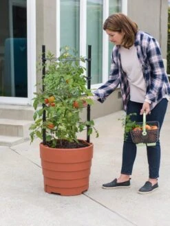 Gardener’s Victory Self-Watering Planter Garden Kit -Gardener's supply company 8610239 06002 tif