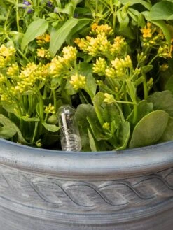 Adjustable Self-Watering Insert For Pots And Planters -Gardener's supply company 8610250 0010 tif