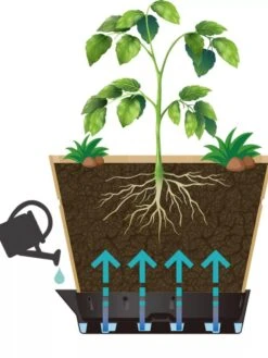 VegTrug® Build-a-Barrel Wooden Planter With Self-Watering Reservoir Tray, 18" 11 VegTrug® Build-a-Barrel Wooden Planter With Self-Watering Reservoir Tray, 18" -Gardener's supply company 8610253 05V tif