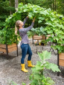 2’ X 8’ Arch Trellis For Planter Boxes -Gardener's supply company 8610798 050 tif