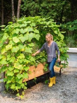 Front Page -Gardener's supply company 8610798 062 tif