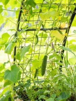2’ X 8’ Arch Trellis For Planter Boxes -Gardener's supply company 8610798 095 tif