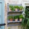 VegTrug® Herb Rack -Gardener's supply company 8611930 6402 tif