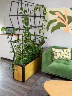 Self-Watering Partition Planter -Gardener's supply company 8611952 001 tif