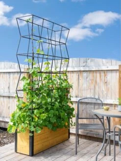 Self-Watering Partition Planter -Gardener's supply company 8611952 4825 tif
