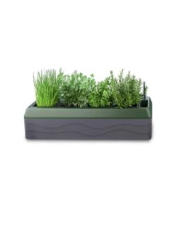 Provence Self-Watering Herb Planter -Gardener's supply company 8611965 03V tif