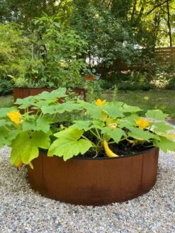 Birdies™ Corten Steel Round Raised Beds -Gardener's supply company 8612422 0484 tif