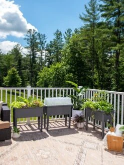 Self-Watering Standing Salad Planter With Cloche -Gardener's supply company 8612702 2002 tif