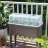 Self-Watering Standing Salad Planter With Cloche -Gardener's supply company 8612702 2032 tif