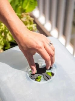 Self-Watering Standing Salad Planter With Cloche -Gardener's supply company 8612702 2034 tif