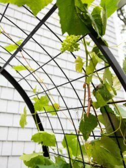 2’ X 4’ Arch Trellis For Planter Boxes -Gardener's supply company 8612976 0436