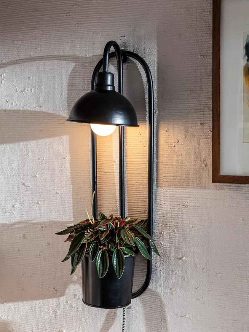 Kira Grow Light Hanging Planter 3 Kira Grow Light Hanging Planter