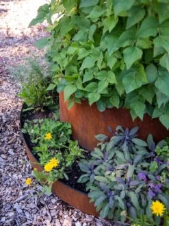 Birdies™ Corten Steel Tiered Round Raised Bed Kit, Tall -Gardener's supply company 8613245 0195