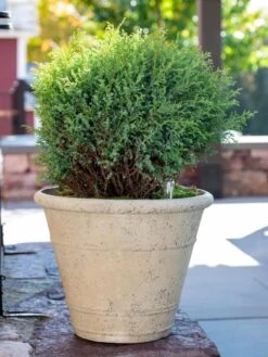 Self-Watering LavaStone® Anson Pot -Gardener's supply company 8613255 0144