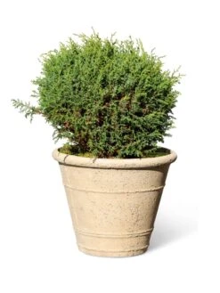 Self-Watering LavaStone® Anson Pot -Gardener's supply company 8613255 0150
