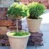 Self-Watering LavaStone® Anson Pot -Gardener's supply company 8613256 0124 self watering lavastone anson pot