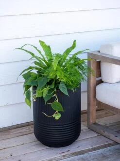 Front Page -Gardener's supply company 8613267 0111