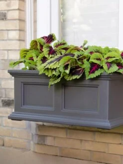 Fairfield Self-Watering Window Box, 2’ 13 Fairfield Self-Watering Window Box, 2’ -Gardener's supply company 8613268 08V tif