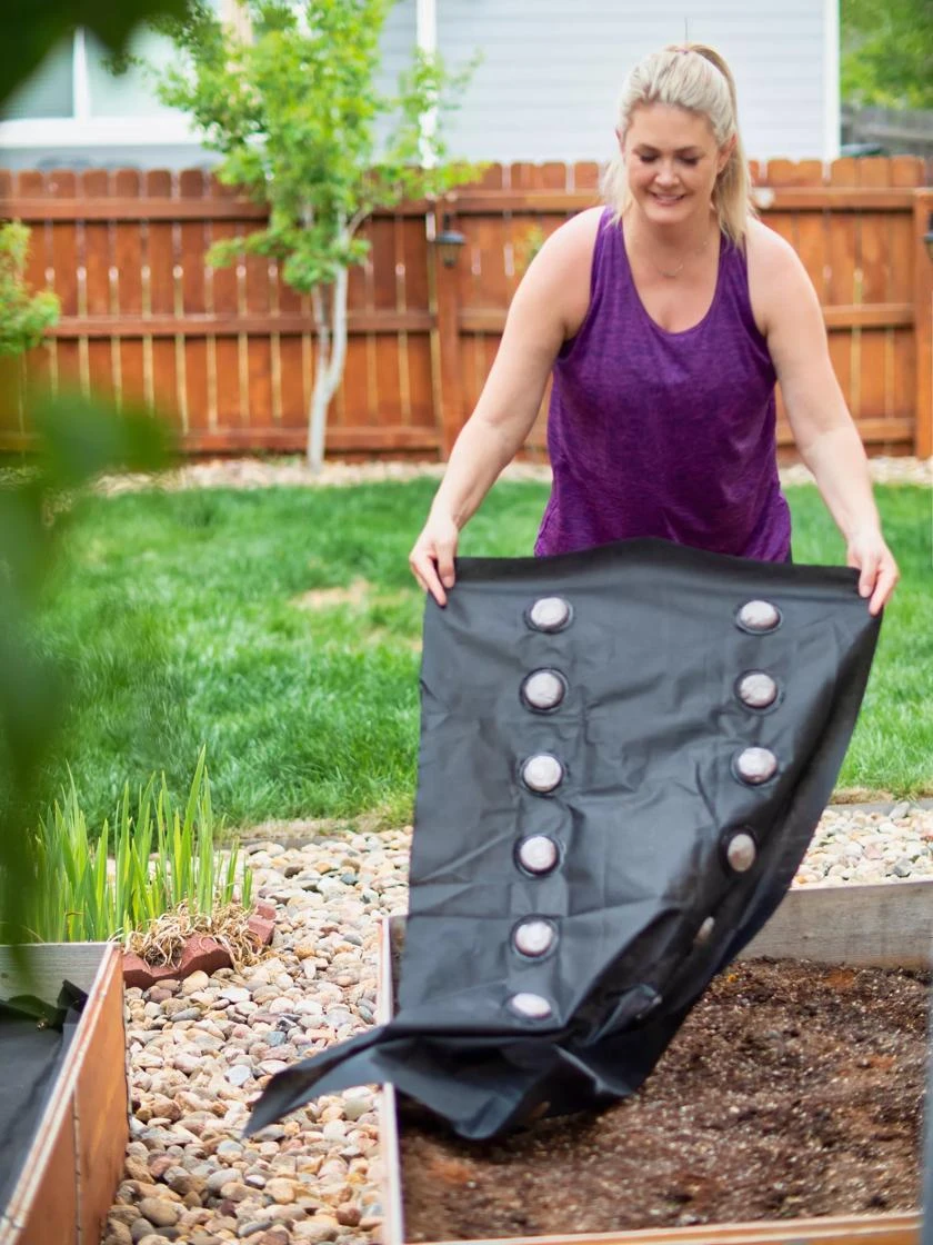 SeedSheets Organic Vegetable Garden, Easy Breezy Caprese, 4' X 8' 6 SeedSheets Organic Vegetable Garden, Easy Breezy Caprese, 4' X 8' - Image 5