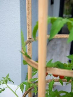 Elevated Bamboo Tomato Planter And Trellis 13 Elevated Bamboo Tomato Planter And Trellis -Gardener's supply company 8613502 0423