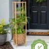 Elevated Bamboo Tomato Planter And Trellis -Gardener's supply company 8613502 13