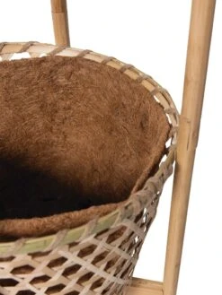 Elevated Bamboo Tomato Planter And Trellis 16 Elevated Bamboo Tomato Planter And Trellis -Gardener's supply company 8613502 4685