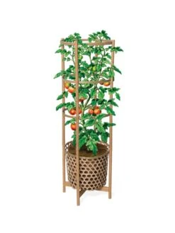 Elevated Bamboo Tomato Planter And Trellis 15 Elevated Bamboo Tomato Planter And Trellis -Gardener's supply company 8613502 art flat