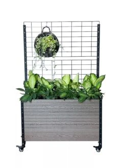 Mobile Deep Trough Planter With Trellis 9 Mobile Deep Trough Planter With Trellis -Gardener's supply company 8614265 03V