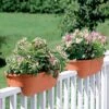 2' X 4' Railing Planter, 25" 2 2' X 4' Railing Planter, 25" -Gardener's supply company GS34336 01 24 inch 2x6 railing planters