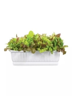31" Self-Watering Window Box -Gardener's supply company GS36523 01Z 3 4