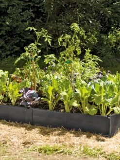 Front Page -Gardener's supply company GS37503 02 tif