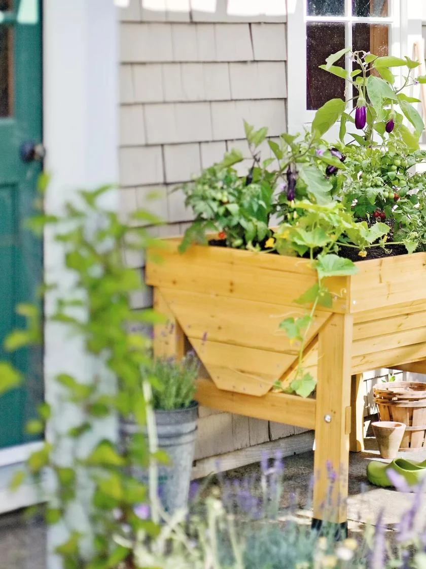 Front Page -Gardener's supply company 40365B 100 tif