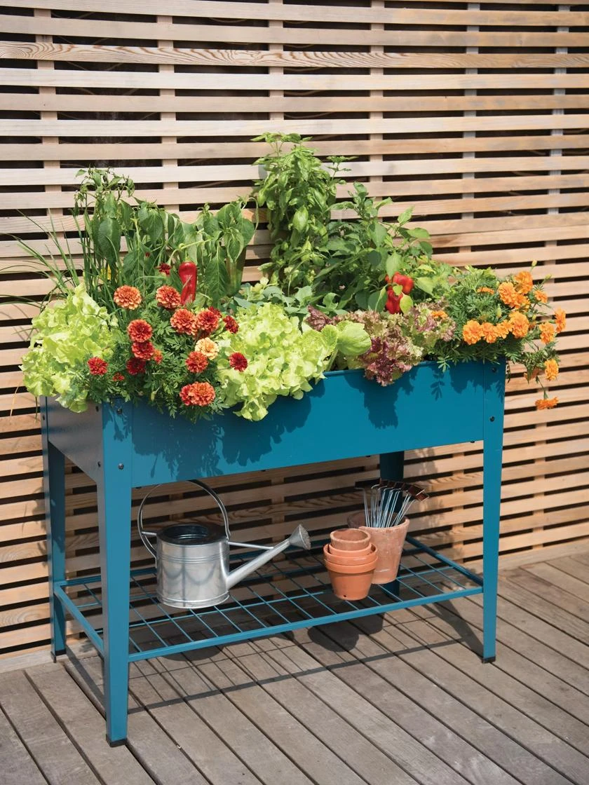 Front Page -Gardener's supply company 8597496 0047 tif